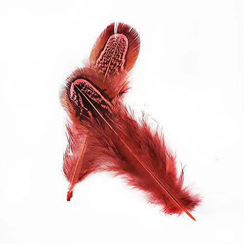 Natural Pheasant Plumage Feathers - 50 pcs, 2-3 Inches, Red
