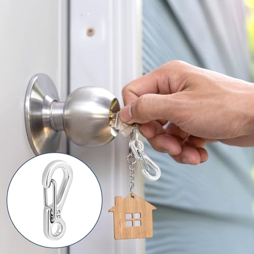 12 Pcs Tiny Carabiner Clip Metal Small Spring Snap Hooks, 1 inch Key Chain Clip Hooks Metal Swivel Clasps Lanyard Snap Hook Carabiners for Backpack Keychains Accessories(Silver)