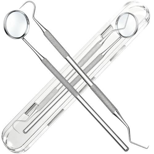 G.CATACC 2 Pcs Stainless Steel Dental Tools Set with Mouth Mirror