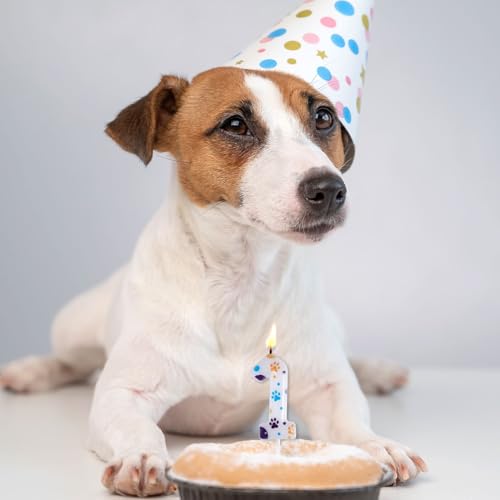 Cute Paw Print Birthday Candle - 3.94 Inch Blue Number 1 Cake Topper