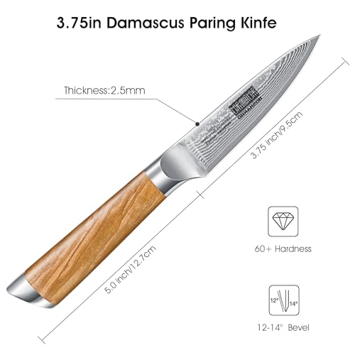 HOSHANHO Damascus Paring Knife 3.75 Inch Sharp Japanese HC Steel Fruit Knife - Unique Damascus Pattern