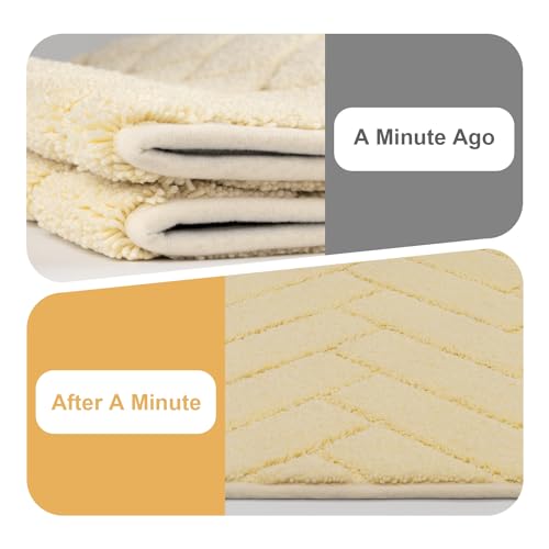 Hicorfe Indoor Doormat - Non-Slip Absorbent Floor Mat 20"x32"