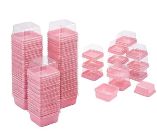 50 Pack Mini Cupcake Boxes, Clear Plastic Individual Dessert Containers