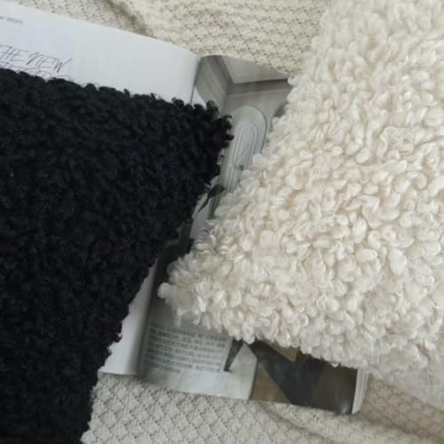 OYIMUA Black Faux Fur Boucle Throw Pillow Covers 20x20, Set of 2