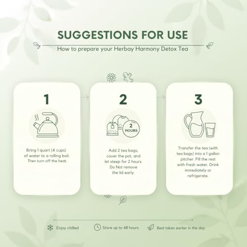 Herbay Harmony Organic Detox Tea – Caffeine-Free Herbal Cleanse for Bloating Relief, Digestive Tea & Natural Body Detox, Organic Herbal Blend with Ginger, Chamomile & Papaya (4 Pack (4‑Week Detox Kit)