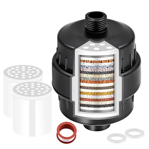 High Output Shower Filter with 2 Replacement Cartridges - Removes Chlorine & Fluoride