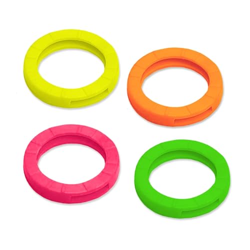 Lucky Line Medium Key Identifiers, 4-Pack Neon Colors