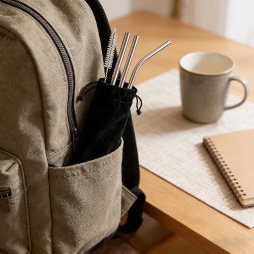 5-Pack Reusable Stainless Steel Drinking Straws with Case