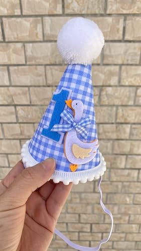 Goose-Themed 1st Birthday Party Hat for Boys & Girls