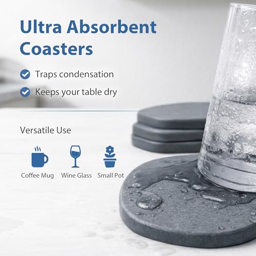 Diatomite Coasters - Fast Drying Absorbent Stone Coasters (4 Pack)