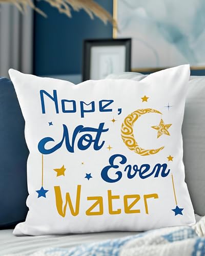 Ramadan Pillow Covers 20x20 - Stylish Velvet Cushion Covers