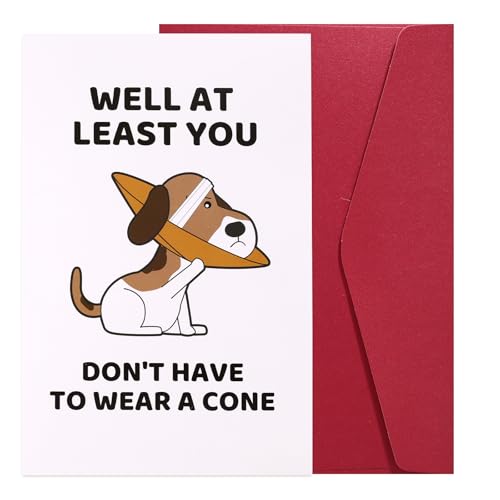Funny Get Well Card with Envelope - 8x5.3in Cute Dog Design