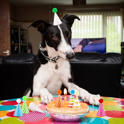 10 Pcs Colorful Mini Birthday Hats for Pets and Stuffed Animals