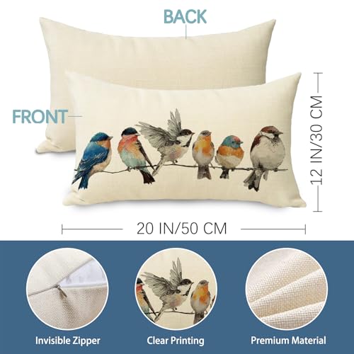 Farmhouse Birds Decorative Throw Pillow Cover - 12x20