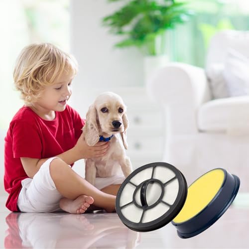 Eureka EF-7 & DCF-25 Replacement Filters for Airspeed Vacuums