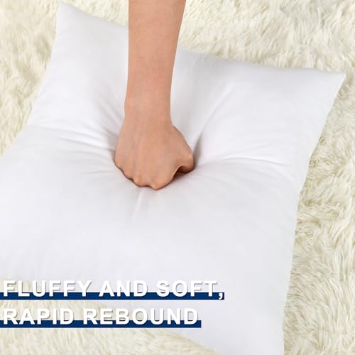 Hiasan 12x20 Decorative Pillow Insert - Premium Fluffy Support