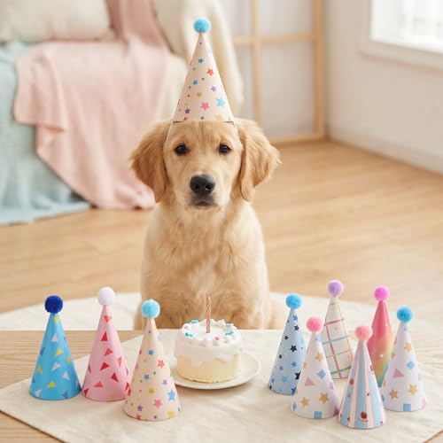 10 Pack Adjustable Party Hats for Pets - Mini Birthday Hats for Dogs & Cats