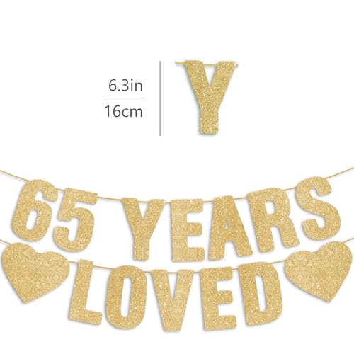 Happy 65th Birthday Banner - Pre-Strung Gold Glitter Decorations