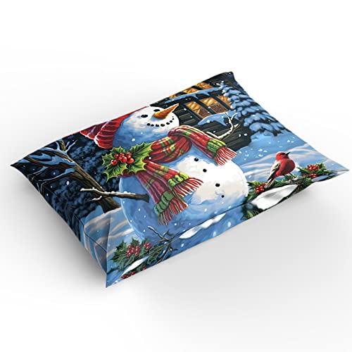 Blue California King Christmas Bedding Set Snowman Farmhouse Duvet Cover Comforter Cover