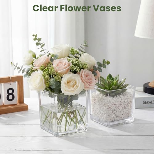 Wowang 4x4 Inch Clear Square Acrylic Vases - 2 Pack Modern Cube Flower Vase