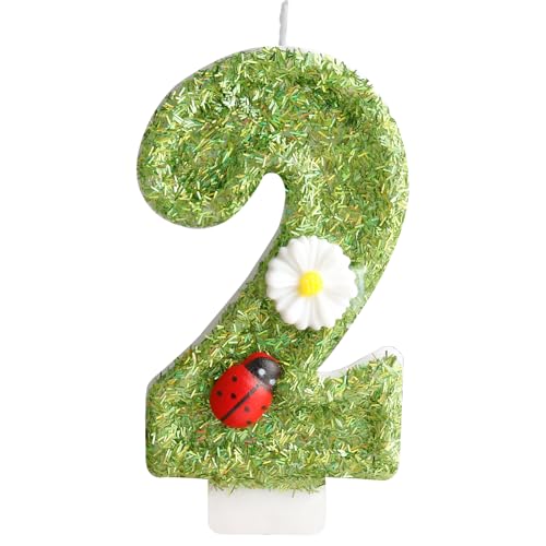 Green Ladybug Number 2 Birthday Candle with Daisy Decoration