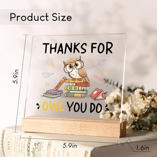 Teacher Appreciation Gift Owl Acrylic Desk Plaque - Meaningful Present