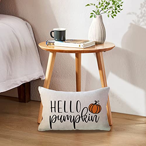 Hello Pumpkin Lumbar Throw Pillow Cover, 12x20 Inch Farmhouse Fall Decor