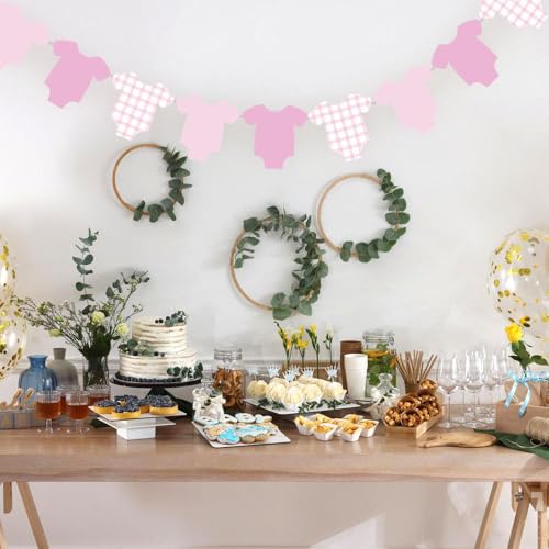 Pink Gingham Bodysuit Banner - 12 Piece Baby Shower Decoration