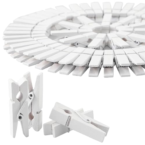Pack of 100 White Mini Colored Wooden Clothespins with Jute Rope
