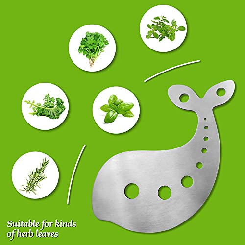 Stainless Steel Herb Stripper Tool with 10 Holes for Kitchen Use