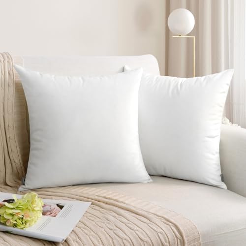 Thmyo 2 Pack White Velvet Decorative Square Pillow Covers 16x16 Inches, No Inserts