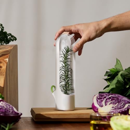 Prepara Mini Herb Saver - Fresh Herb Storage Container for Refrigerator