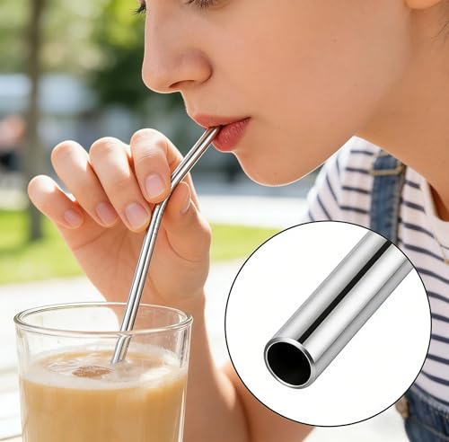 5-Pack Reusable Stainless Steel Drinking Straws with Case