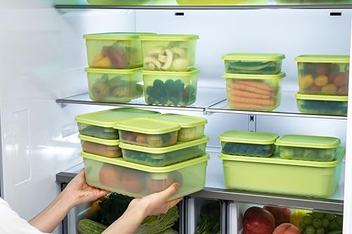LocknLock Fresh-Block Produce Storage Container, 1.5L - BPA Free