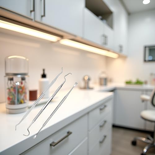Zhuluck 3-Piece Stainless Steel Dental Pick and Scaler Set for Home Oral Care