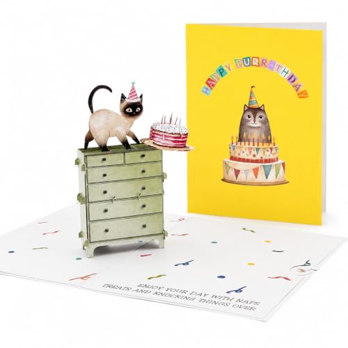 Siamese Cat Pop Up Birthday Card - Funny 3D Cat Lover Greeting Card (5x7)