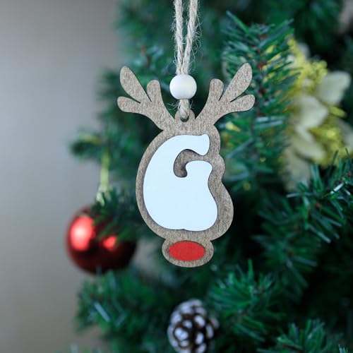 26 Reindeer Name Ornaments - Festive Christmas Tree Decorations