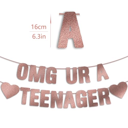Rose Gold Glitter OMG UR A Teenager Banner - Happy 13th Birthday Decor
