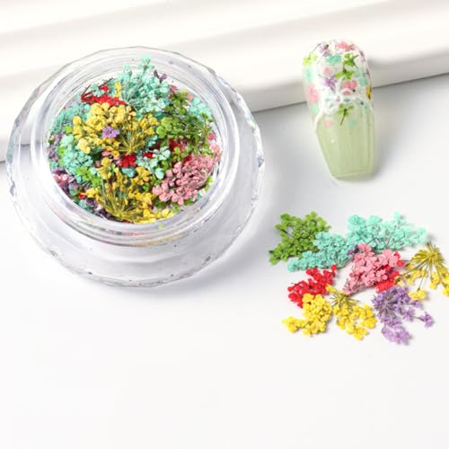 WULIUFLY 3D Dried Flower Nail Art Decals Colorful Spring Floral Kit