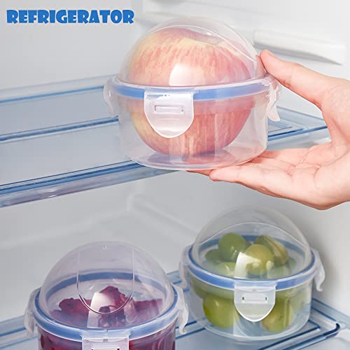 Produce Saver Container for Fridge – Airtight Onion, Tomato & Fruit Holder