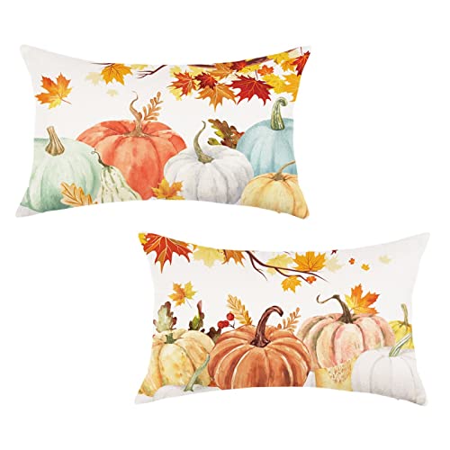 ONWAY Fall Pumpkin Throw Pillow Covers, 12x20 Inch Set of 2, Orange