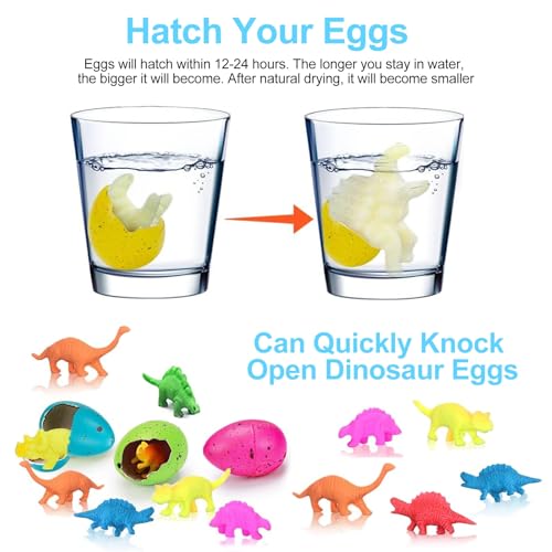 24 Pack Mini Dinosaur Hatching Eggs & Cards - Party Favors