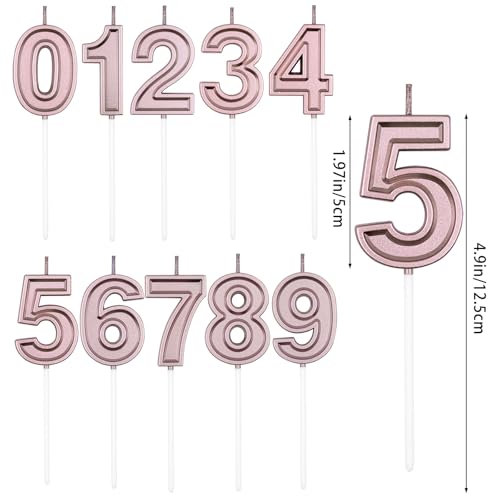 Rose Gold Number 19 & 91 Birthday Candles for Cake Decoration