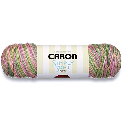 Caron Simply Soft Paints Yarn - 5 oz Rose Garden, 100% Acrylic