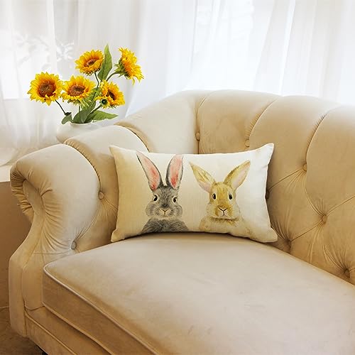 Easter Bunny Lumbar Throw Pillow Cover 12x20 Inch Spring Rabbit Cushion Case