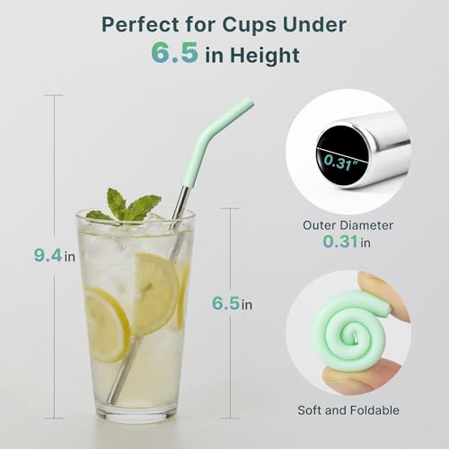 6.7-Inch Reusable Stainless Steel Drink Straws with Silicone Tips & Brush - Colors 3
