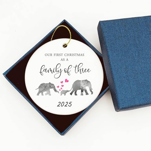 2025 Our First Christmas as a Family of 3 Elephant Ornament
