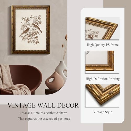 Vintage Botanical Bird Wall Art Canvas with Gold Frame 9x12 Inch