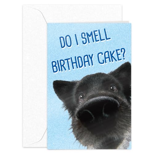 Funny Birthday Card with Glitter & Envelope - 8x5.3 Inch Humor
