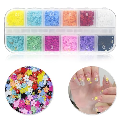 800 Pcs 3D Nail Art Charms Flower and Butterfly Rhinestones Set